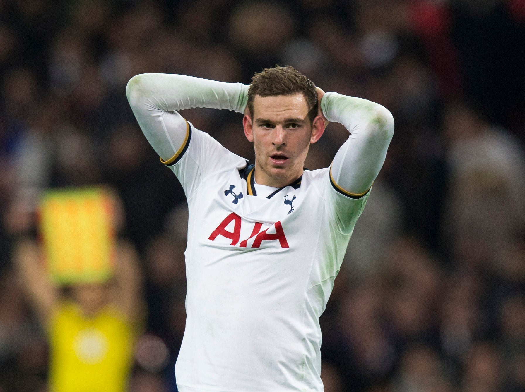 Vincent Janssen's Spurs career could be over