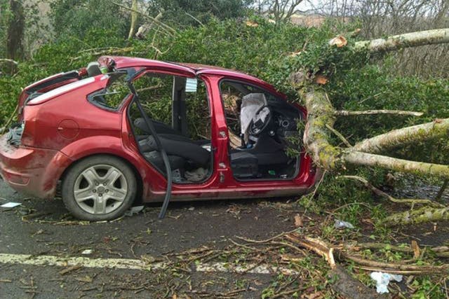 High winds brought down many trees, including this one on the A49 north of Church Stretton in Shropshire. Two occupants were injured