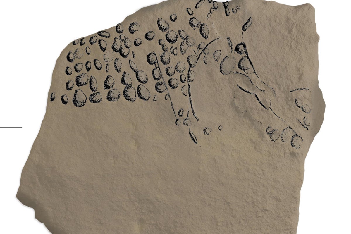 'World's oldest images made from pixels' discovered in prehistoric ...