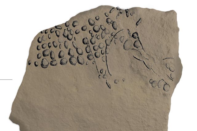 A drawing of the engraved stone highlights the individual pixels that make up a mammoth, or auroch, facing right