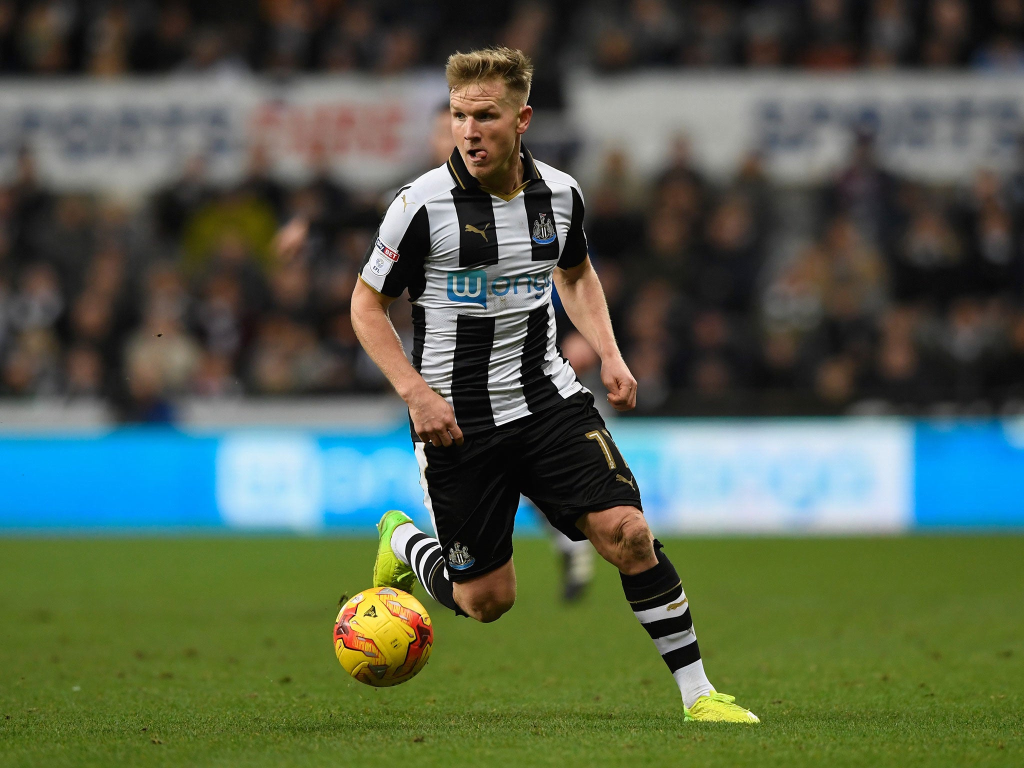 Matt Ritchie in action for Newcastle