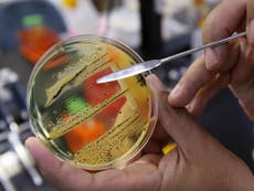 Antibiotic resistance hope as drug uses superbugs’ toxins against them