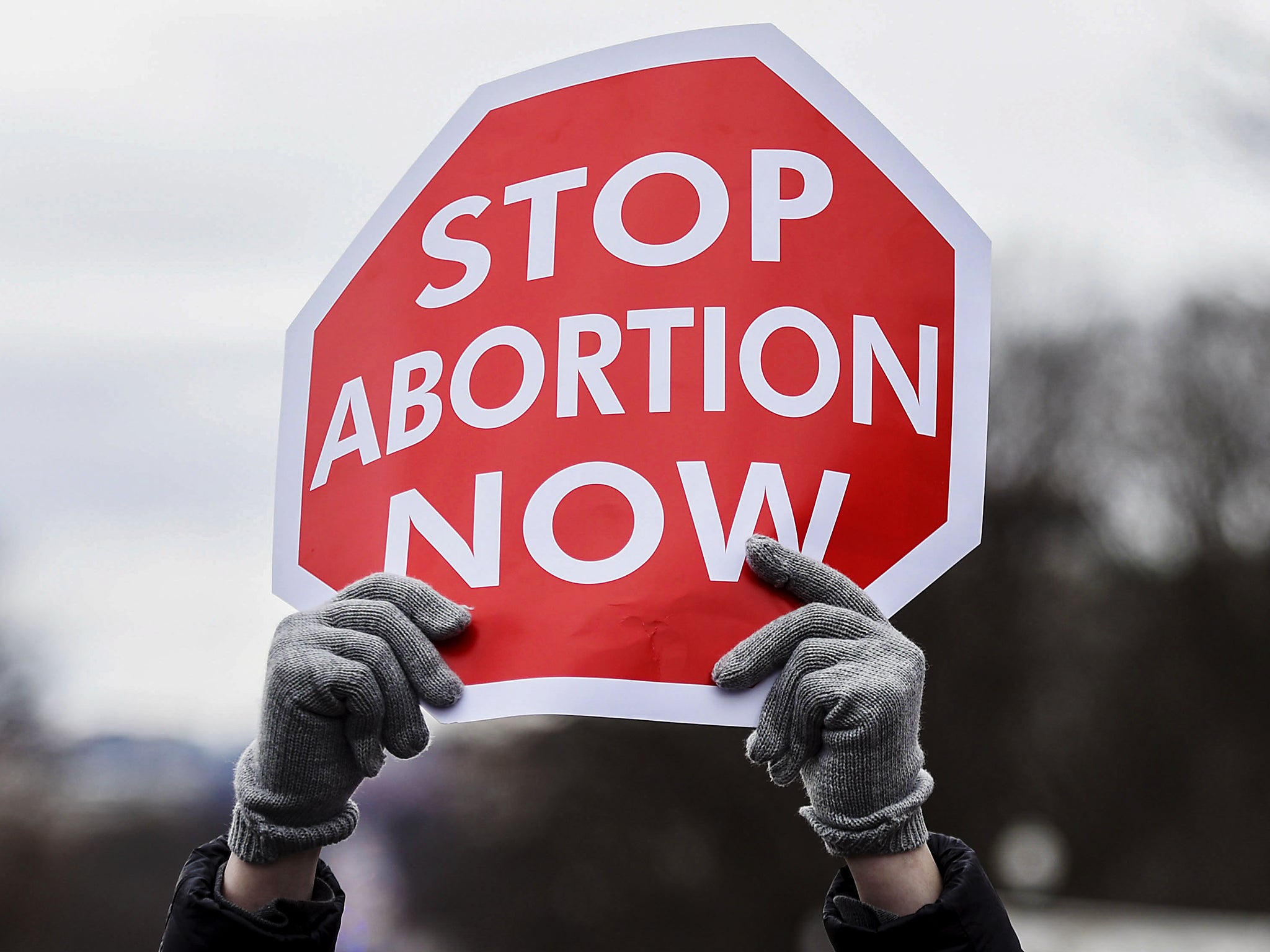 A protester brandishes a sign at the March for Life on Washington DC on January 27 2017