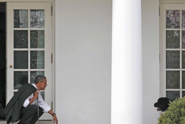 Barack Obama bends down to wait for his dog, Bo, to come towards him outside the Oval Office