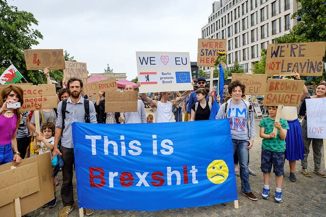 British expats hold up signs to protest for the United Kingdom to remain in the European Union
