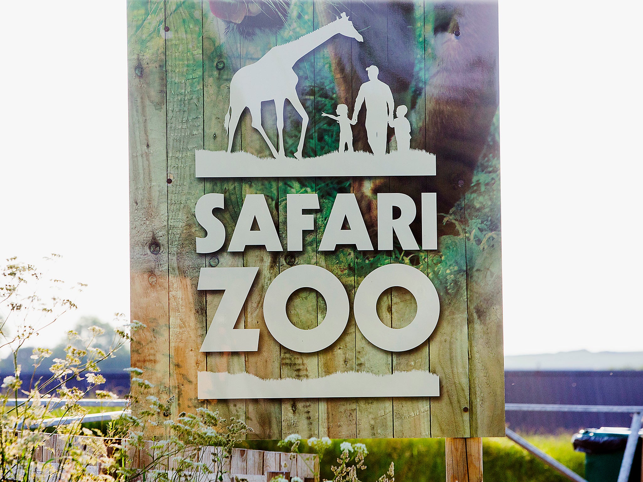 Cumbria zoo could lose licence after nearly 500 animals die in four years  and tiger mauls a keeper to death | The Independent | The Independent