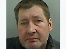 British 'Josef Fritzl' jailed: 27 years for paedophile who hid victim behind fridge in kitchen