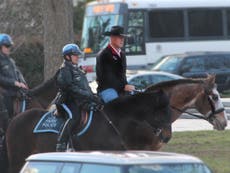 Trump's secretary of interior rides horse to work on his first day