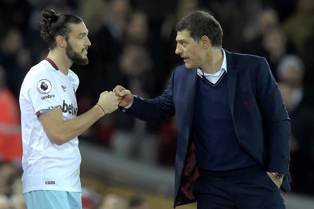 The striker has delighted Bilic since returning from injury