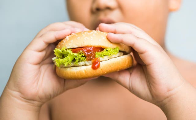 <p>A prevalence of ultra processed foods is believed to be the cause in a sharp rise in obesity rates in children </p>