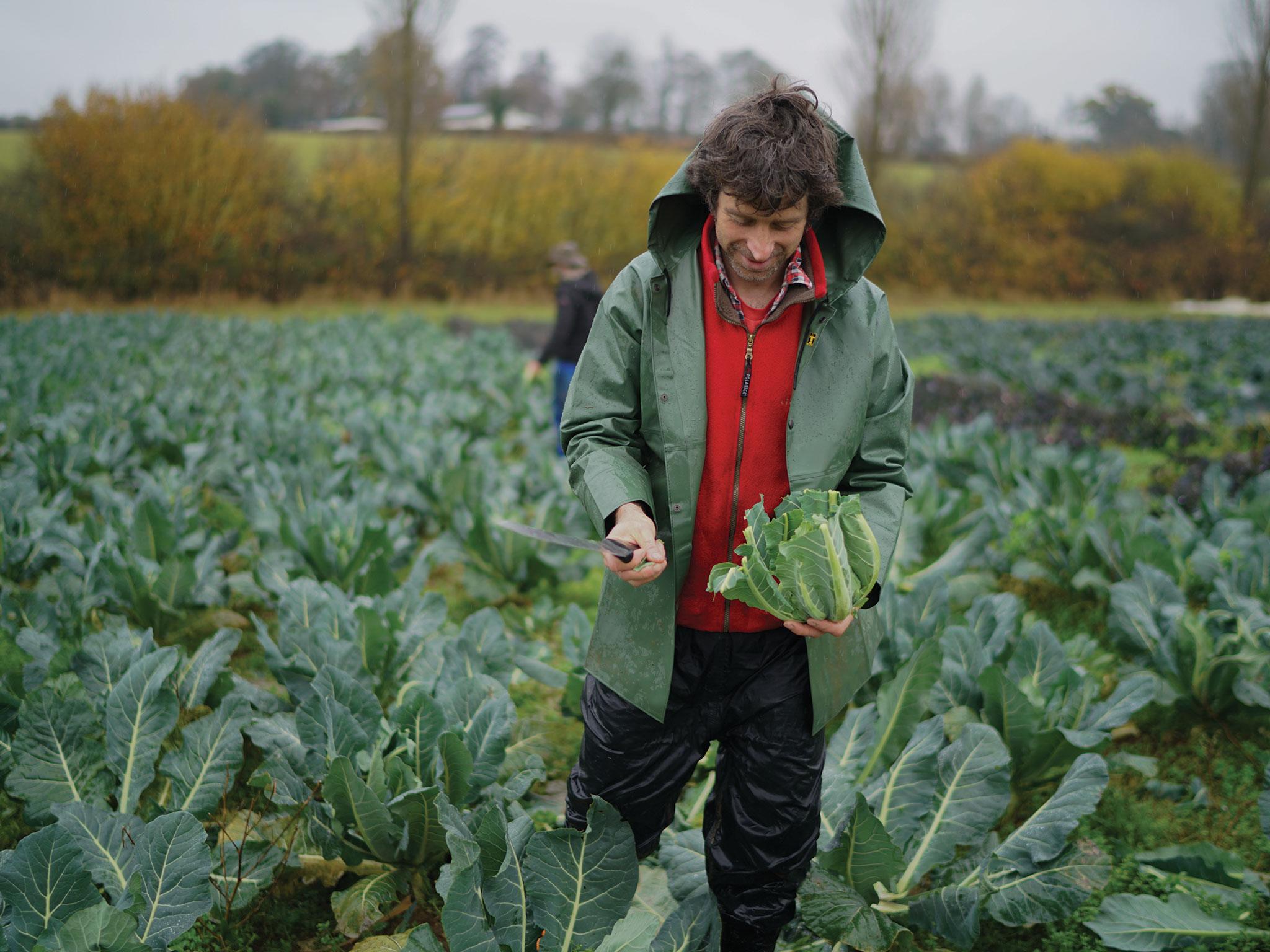 Purton House is an award-winning organic farm set over 70 acres of Wiltshire countryside. They sell their fruit, veg, beef, pork and eggs to Londoners via Farmdrop