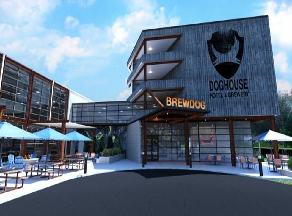 BrewDog to launch 'beer hotel' with booze-filled hot tubs ...
