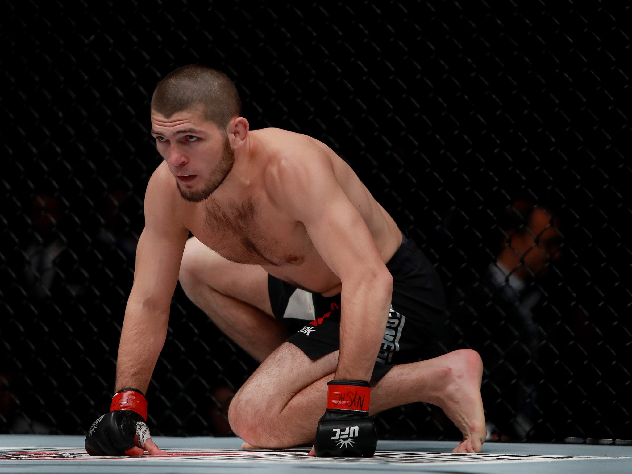 UFC star Nurmagomedov is expected to be McGregor's next opponent