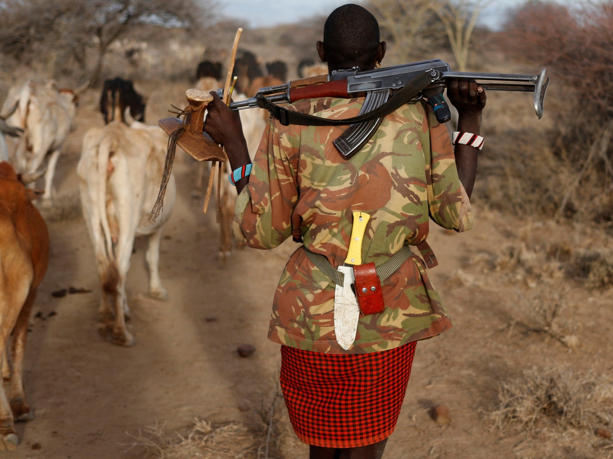 A Turkana tribesman carries a gun in order to protect his cattle as illegal grazing rises in areas hit by drought