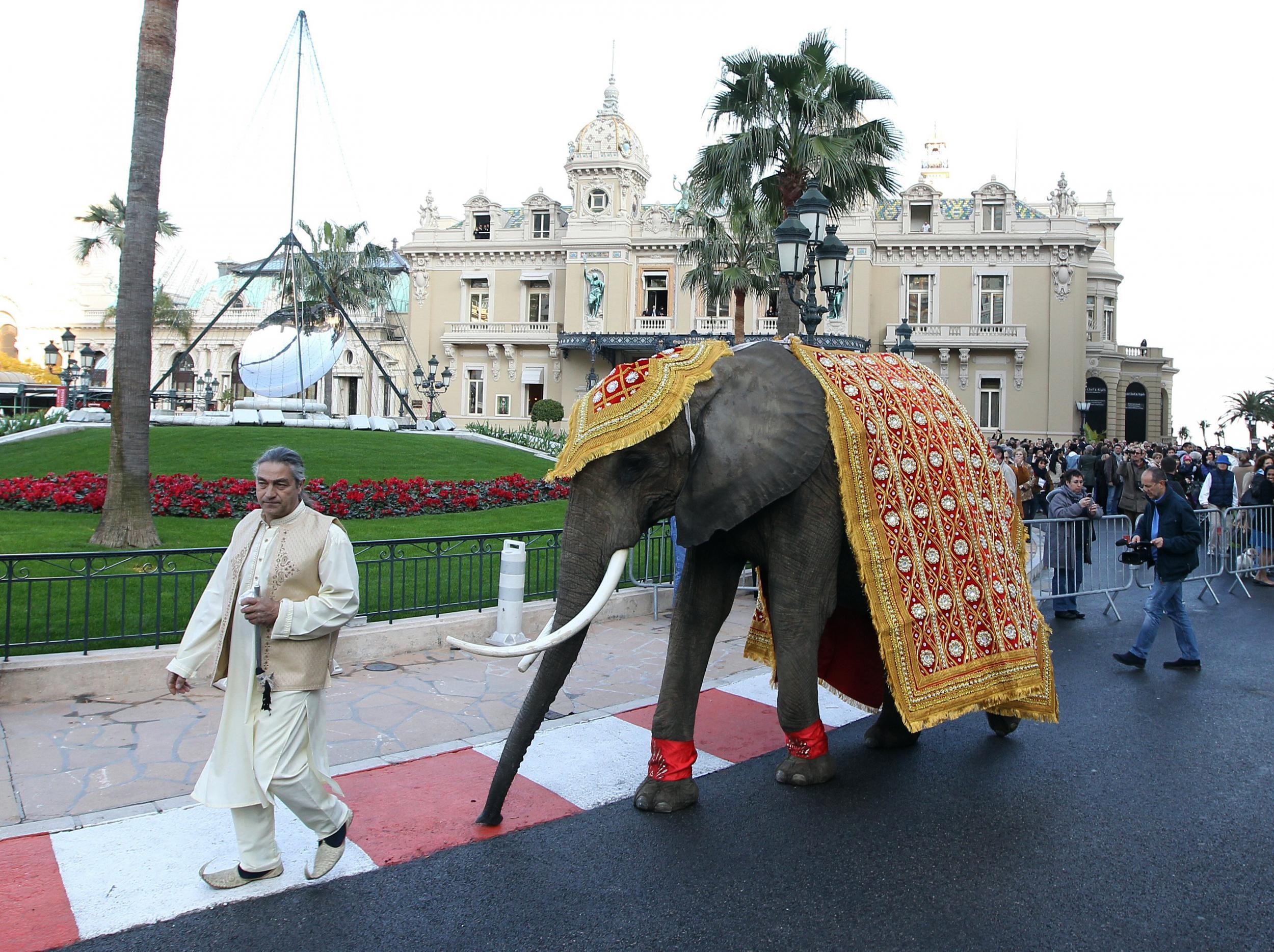An elephant drafted in for a wedding in Monaco. Nigel turned down a similar request.