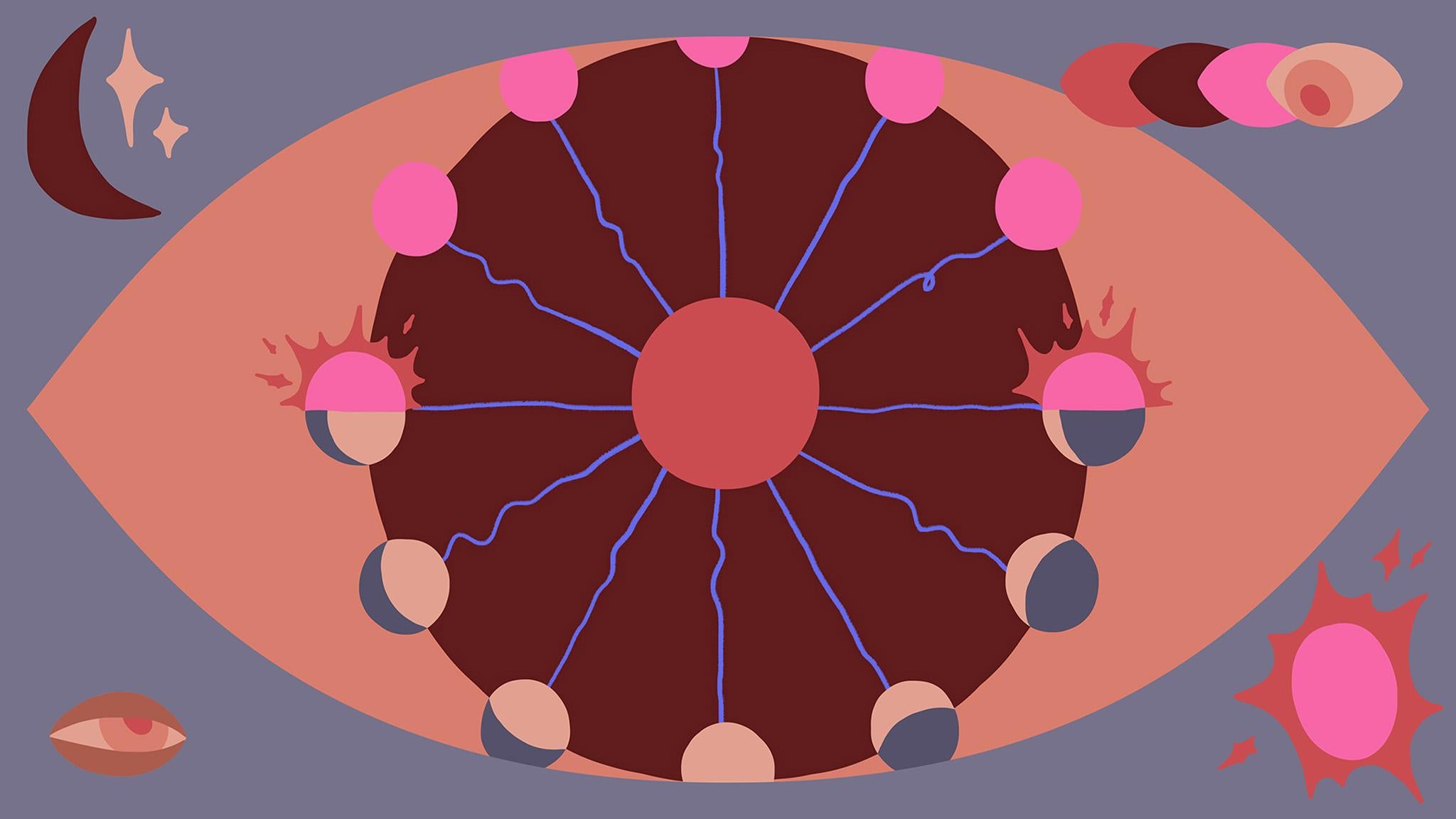 At the back of the eye, an unusual type of photoreceptor seems to help synchronise circadian rhythms to the 24-hour cycle of light and dark