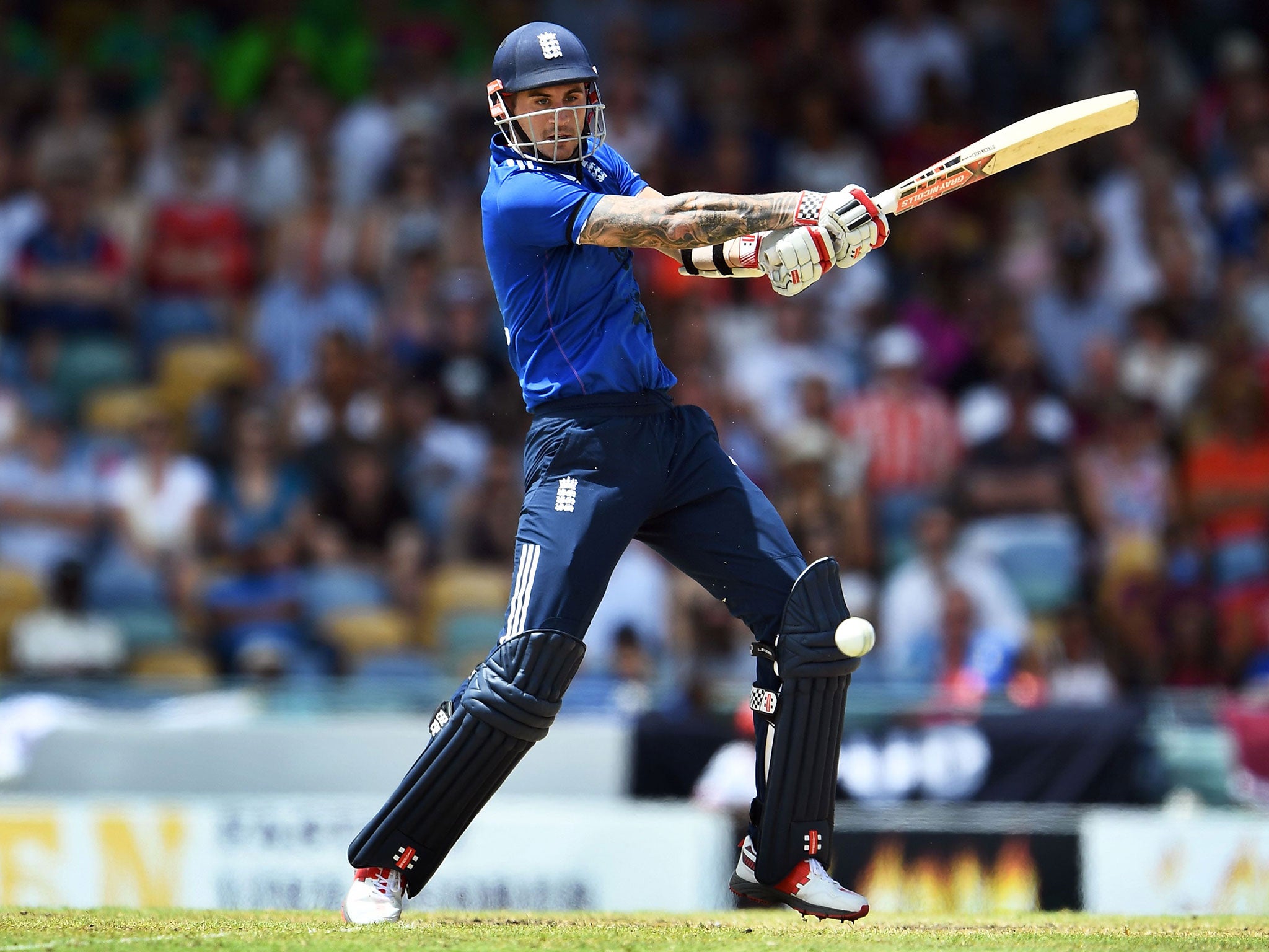 Hales returned in style as he hit a match-leading 110 to secure victory over West Indies