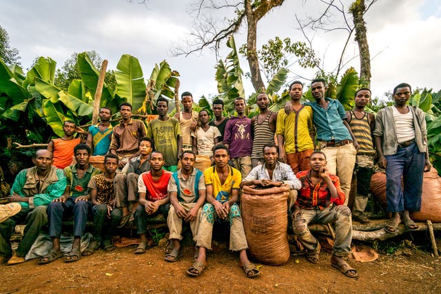 Coffee workers on a top quality producing farm in Ethiopia