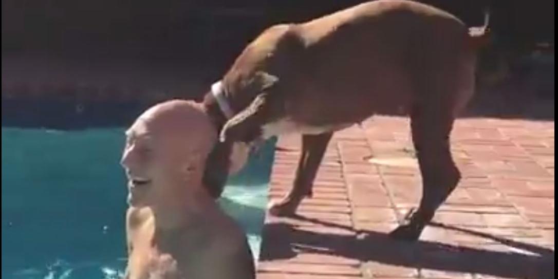 sir patrick stewart is fostering a