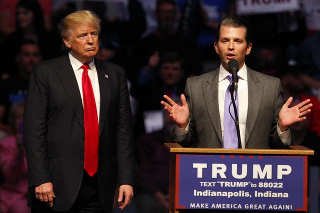Donald Trump Jr and his brother have been running the Trump business empire since January