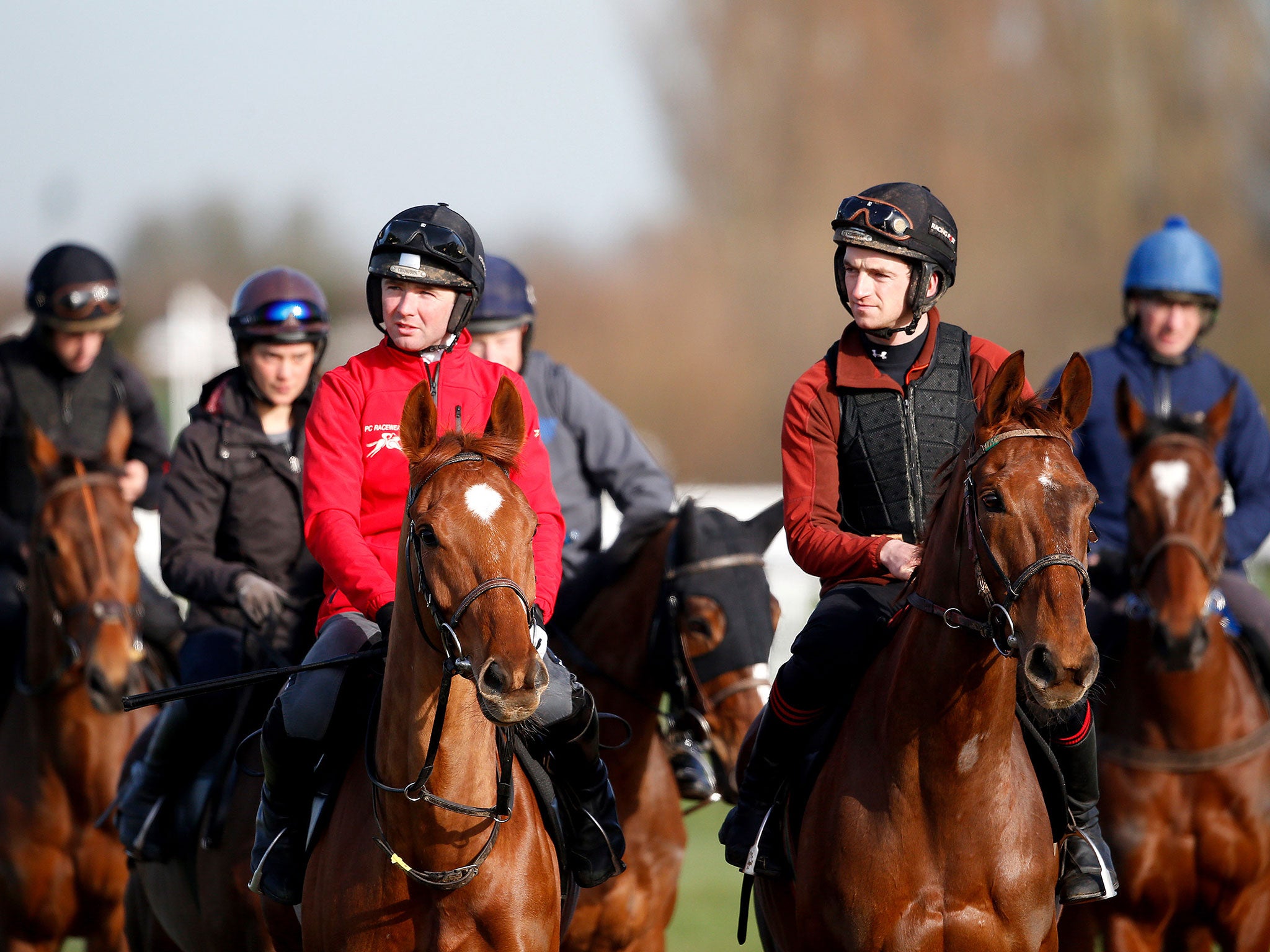 The Willie Mullins string make their way onto the gallops