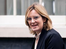 Labour and Greens agree alliance in bid to oust Amber Rudd