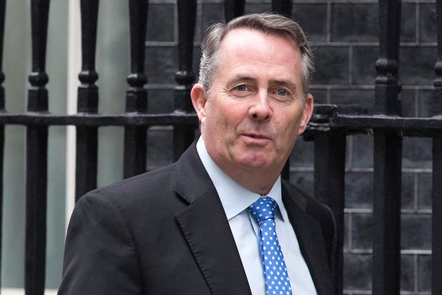 Liam Fox has previously claimed some parts of the media 'would rather see Britain fail than see Brexit succeed' 