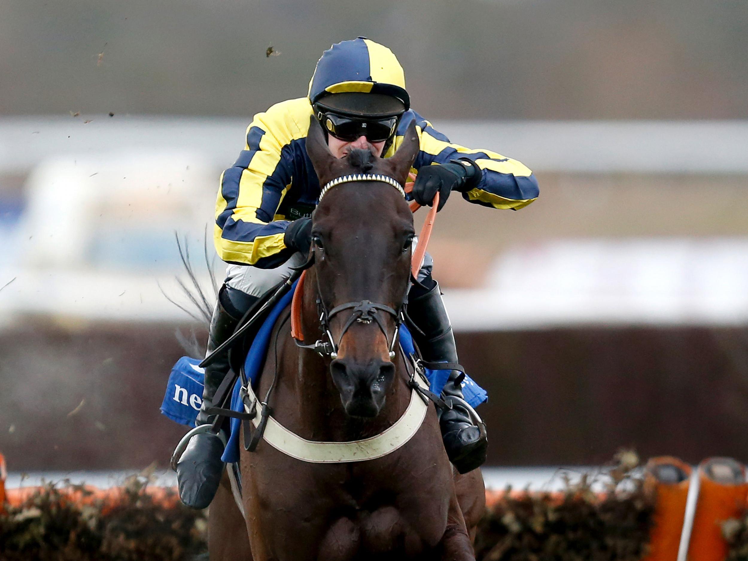 Willoughby Court won the Novice's Hurdle at Cheltenham