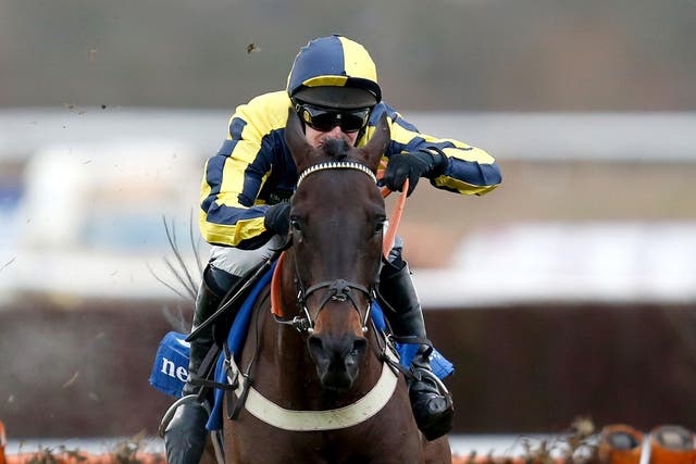 Willoughby Court won the Novice's Hurdle at Cheltenham
