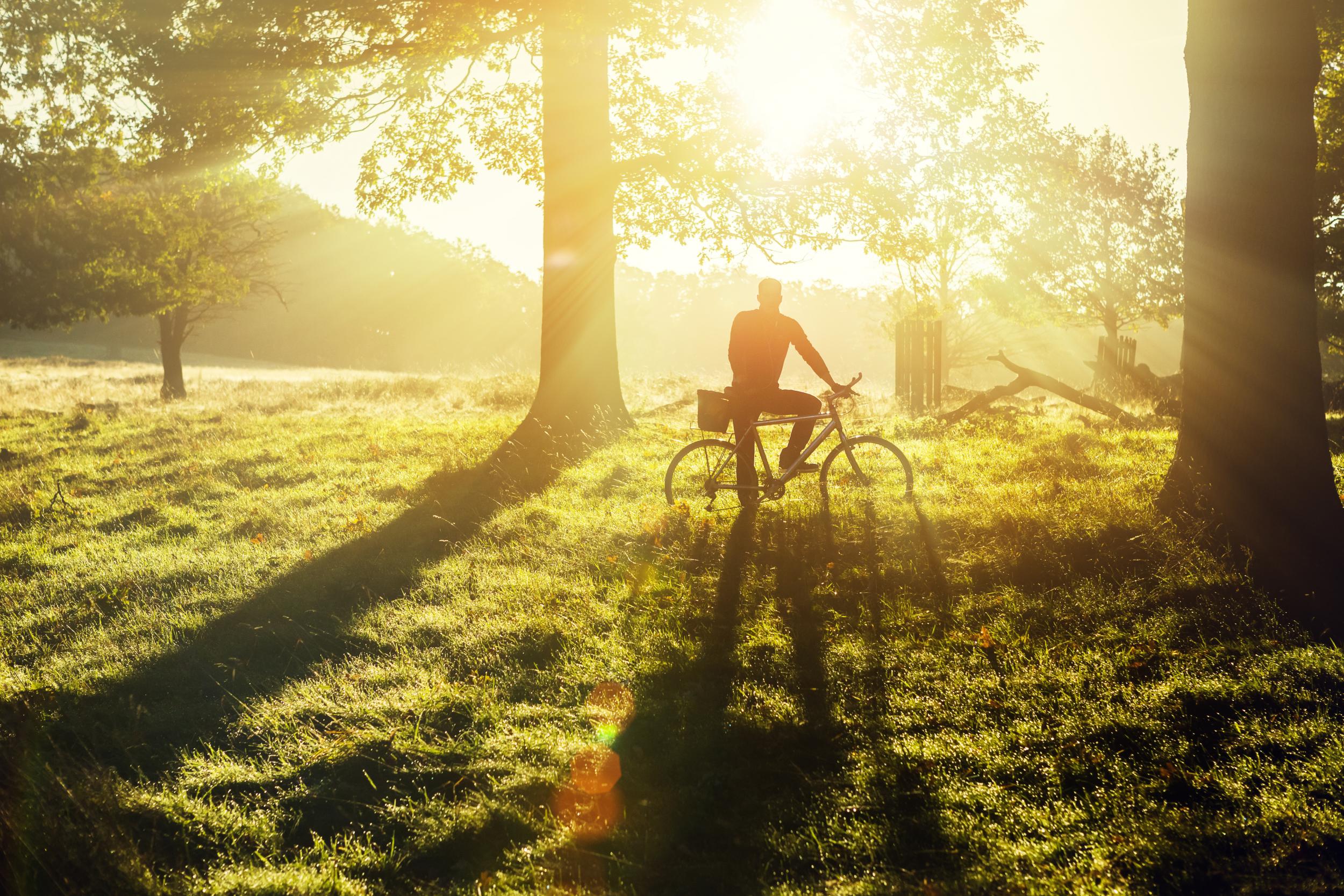 Parks near me for bike riding on sale