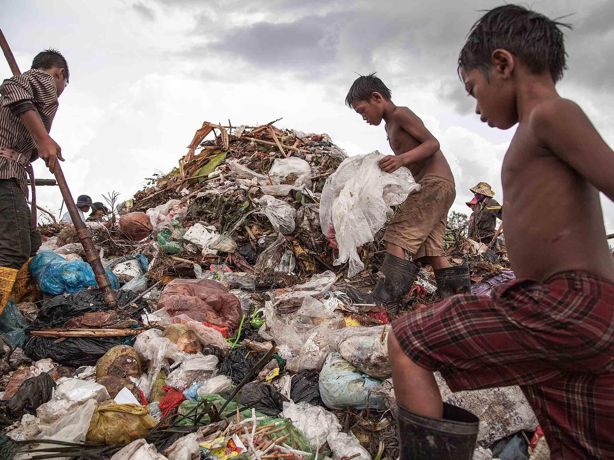 &#13;
A young scavenger boy grabs plastic between tons of trash in the Anlong Pi landfill on June 11, 2014 in Siem Reap, Cambodia. Dozens of children scavenge every day in the Anlong Pi landfill, which is situated only few kilometres away from the world famous Angkor temples, visited by more than 3 million tourists every year. &#13;