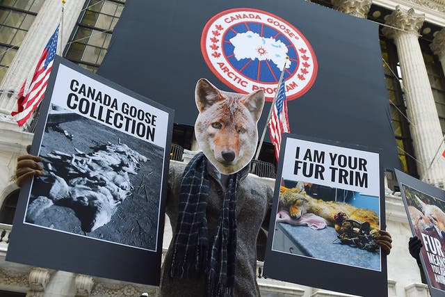 Wearing Coyote masks and business suits and waving signs against Canada Goose and their use of fur, PETA members  gather outside the New York Stock Exchange