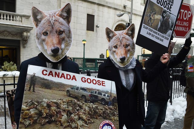 Wearing coyote masks and business suits and waving signs against Canada Goose and their use of fur, PETA members  gather outside the New York Stock Exchange