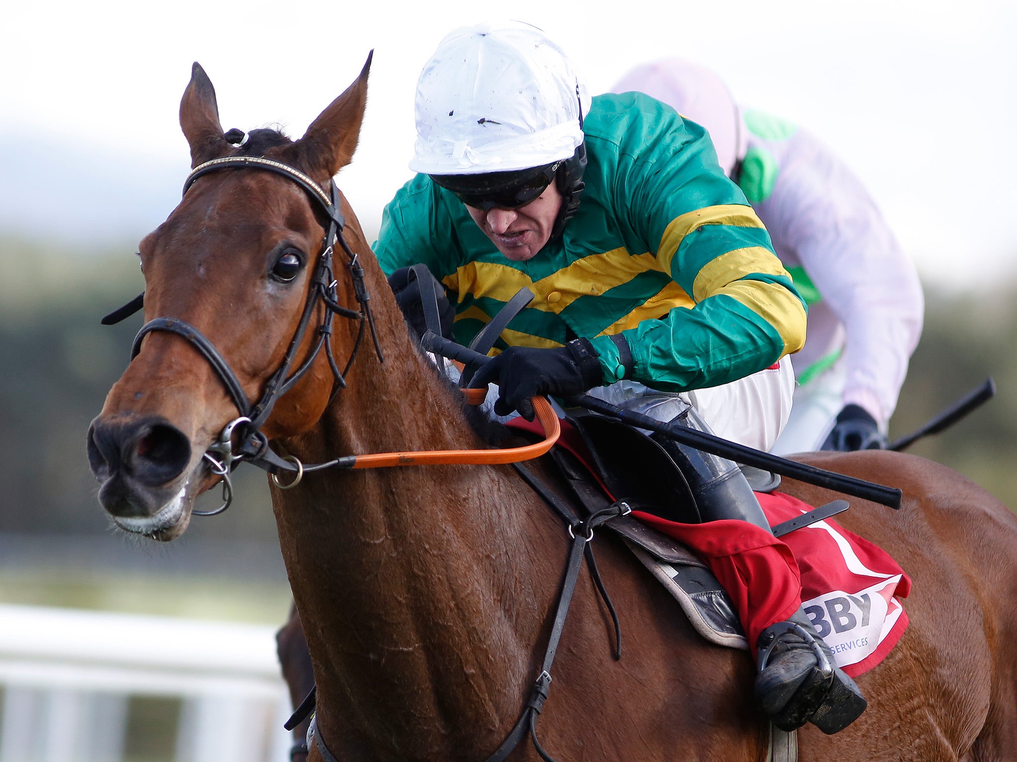 Djakadam is the favourite for Friday's Cheltenham Gold Cup