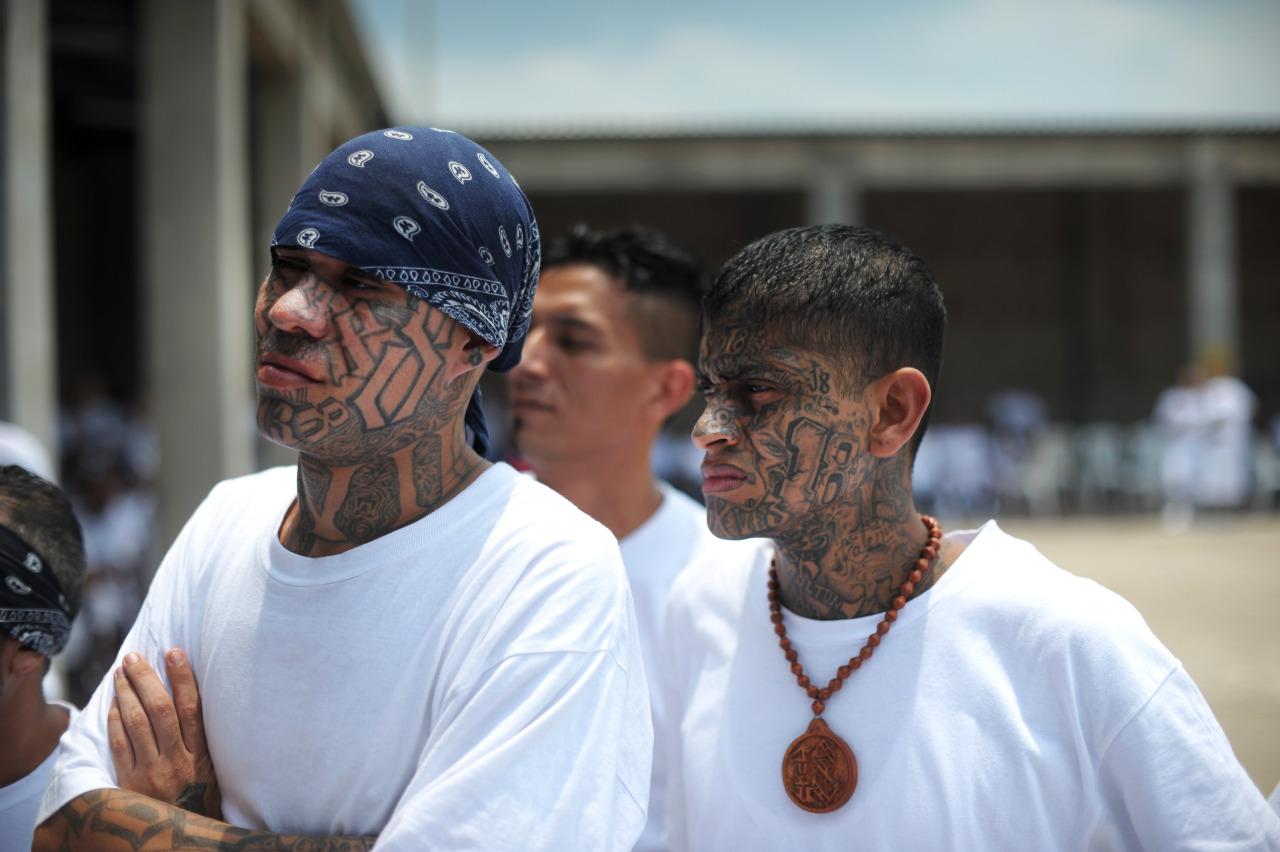 Gangs use the prison system as a rent-free corporate office, directing murders and extortion rings with sneaked-in phones