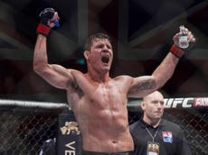 How the UFC phenomenon turned the UK into a nation of MMA fans