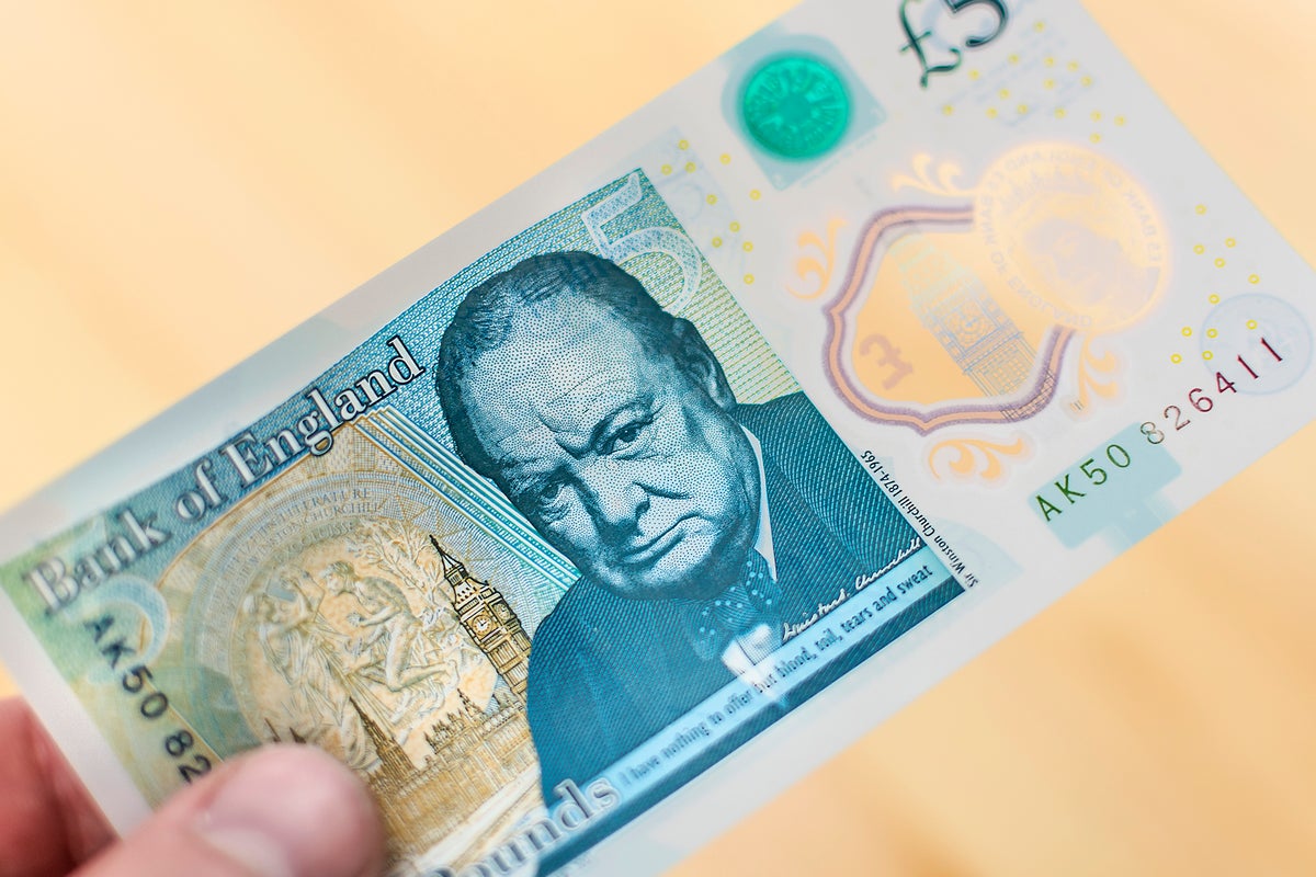 Winston Churchill dropped for wildlife drawings on new bank notes | The ...