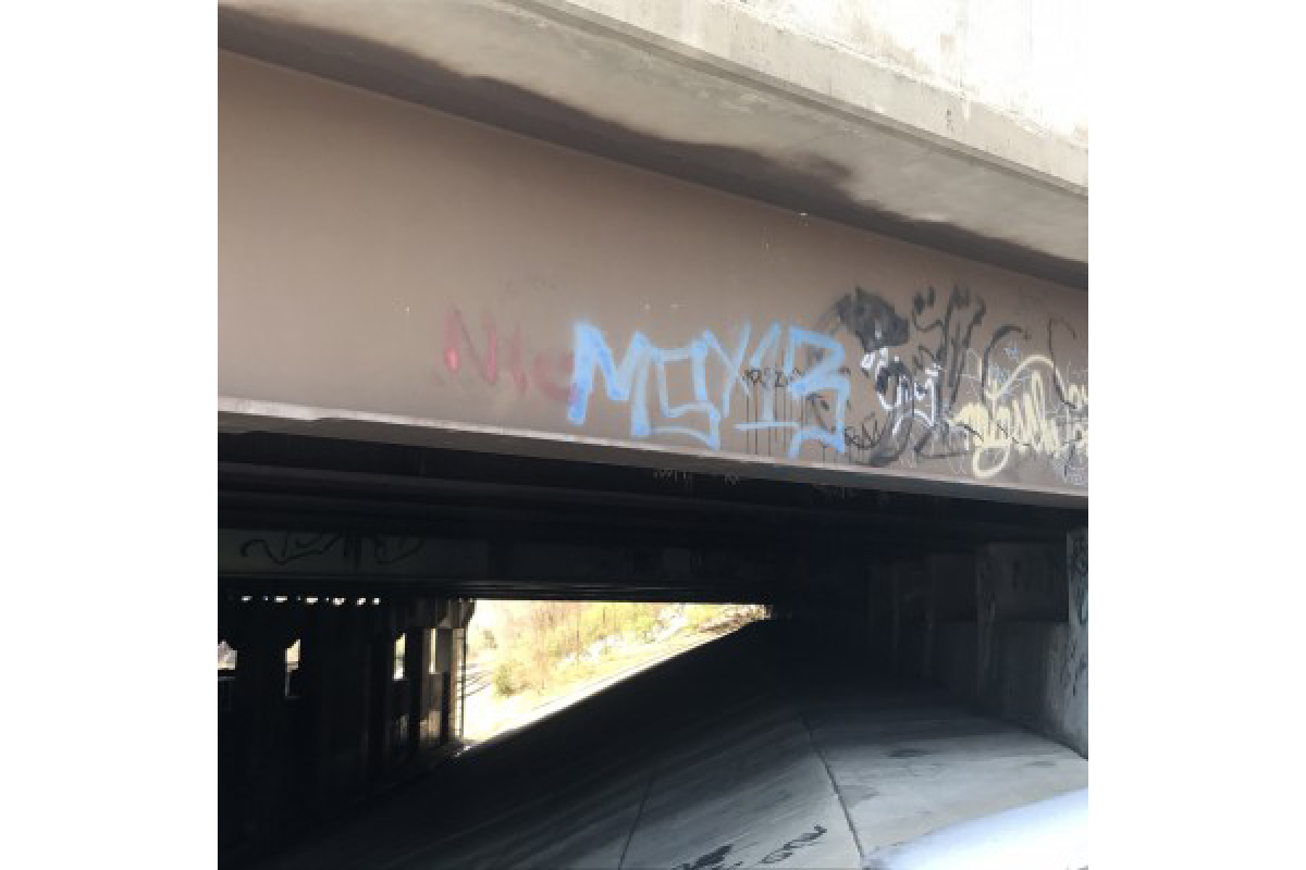 Gang graffiti in Springfield, Virginia, where Damaris’ body was found