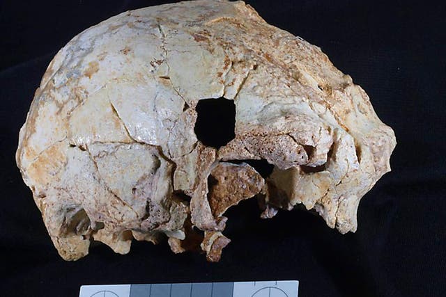 The Aroeira 3 cranium