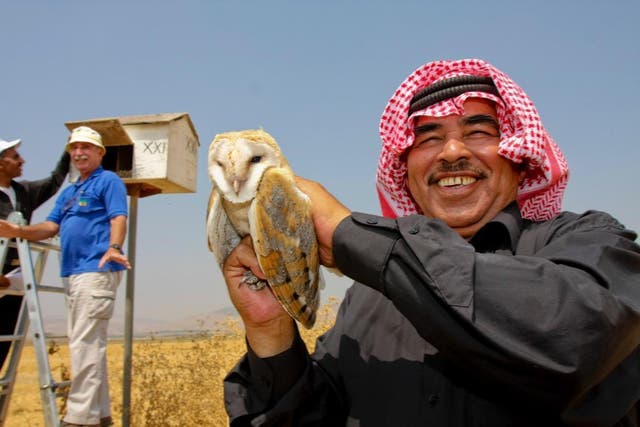 A Jordanian farmer holds a barn owl as a Jewish Israeli farmer, in the blue top, examines a nest box