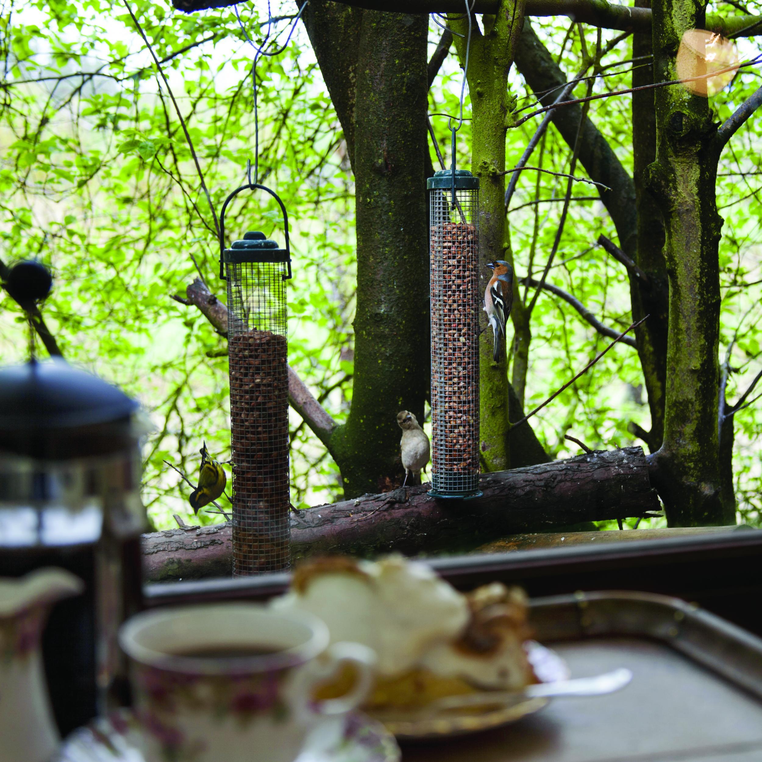 A tea room with a view at Insriach Potting Shed