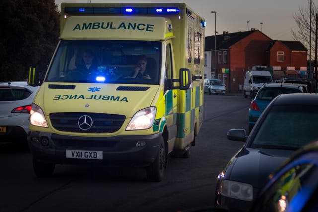 An ambulance arrived at the family's home 13 minutes after four-year-old Roman made the call
