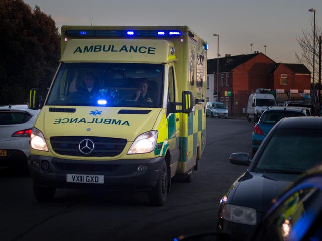 An ambulance arrived at the family's home 13 minutes after four-year-old Roman made the call