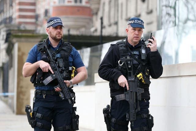 Metropolitan Police commissioner expects number of plots and expected jihadis to rise