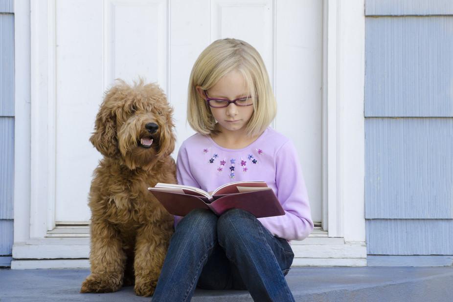 No shaggy dog story: ‘If we want children to learn to read well, we must find a way to induce them to read lots’