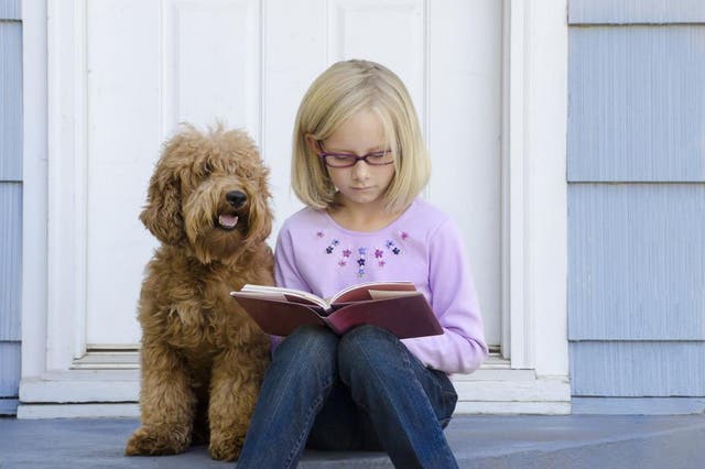 No shaggy dog story: ‘If we want children to learn to read well, we must find a way to induce them to read lots’