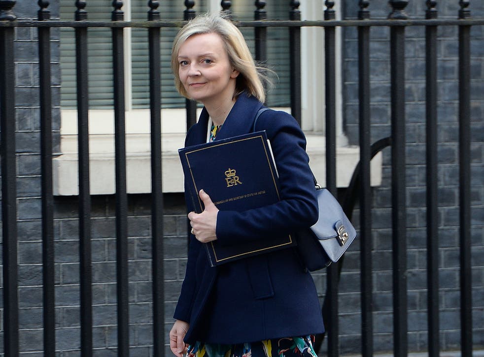 'We must ensure that foreign criminals and failed asylum seekers are not exploiting the justice system,' Ms Truss said