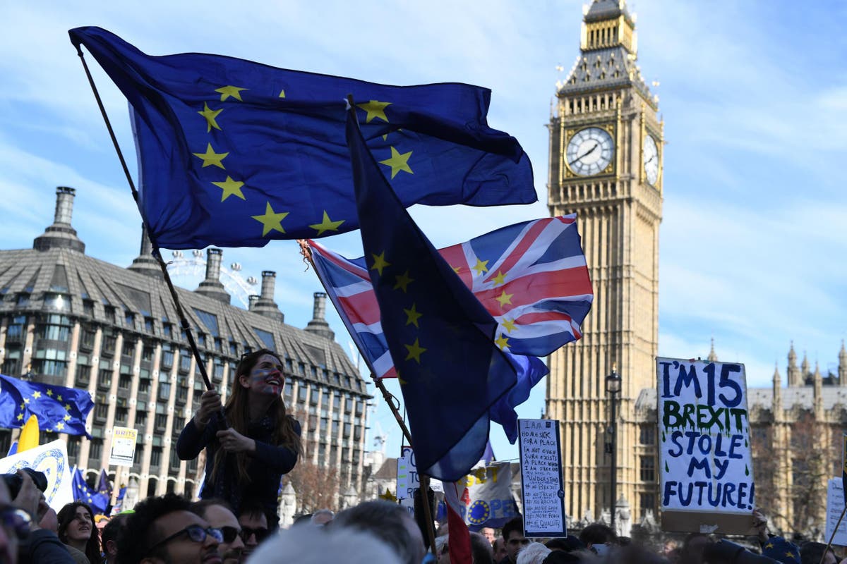 Unite for Europe Tens of thousands take to streets to demand Brexit be
