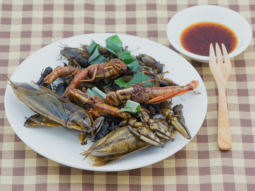Belgian start up puts crickets on the menu The Independent The