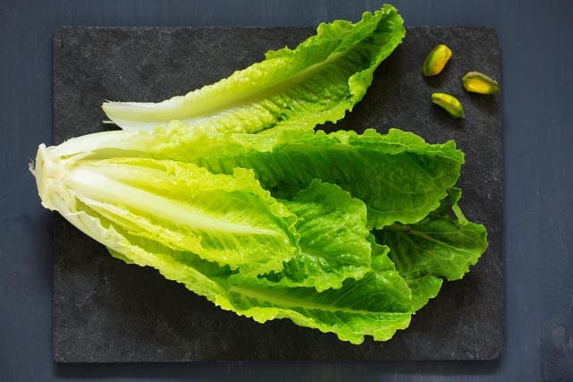 It’s literally just individual romaine lettuce leaves and a not-so-fancy sauce
